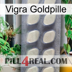 Vigra Gold Pill 08